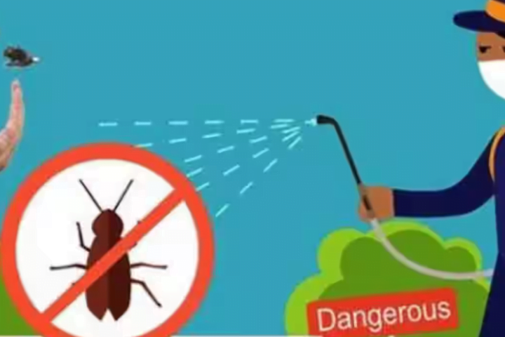 Effective Pest Control Solutions: How to Safeguard Your Home and Health